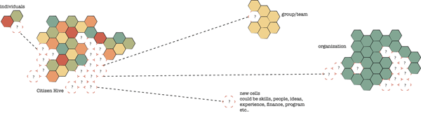 CitizenHiveAsNetworkOpt